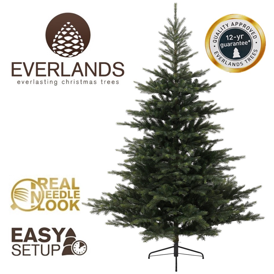 7FT Grandis Fir Kaemingk Everlands Christmas Tree