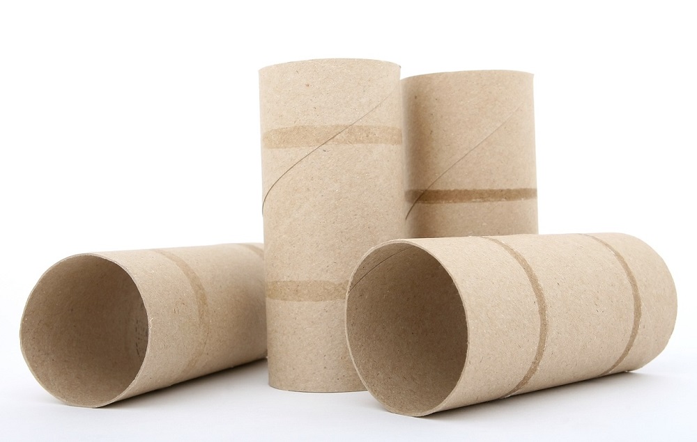 https://www.tonggardencentre.co.uk/wp-content/uploads/2022/03/toilet-roll-tubes-pixabay.jpg