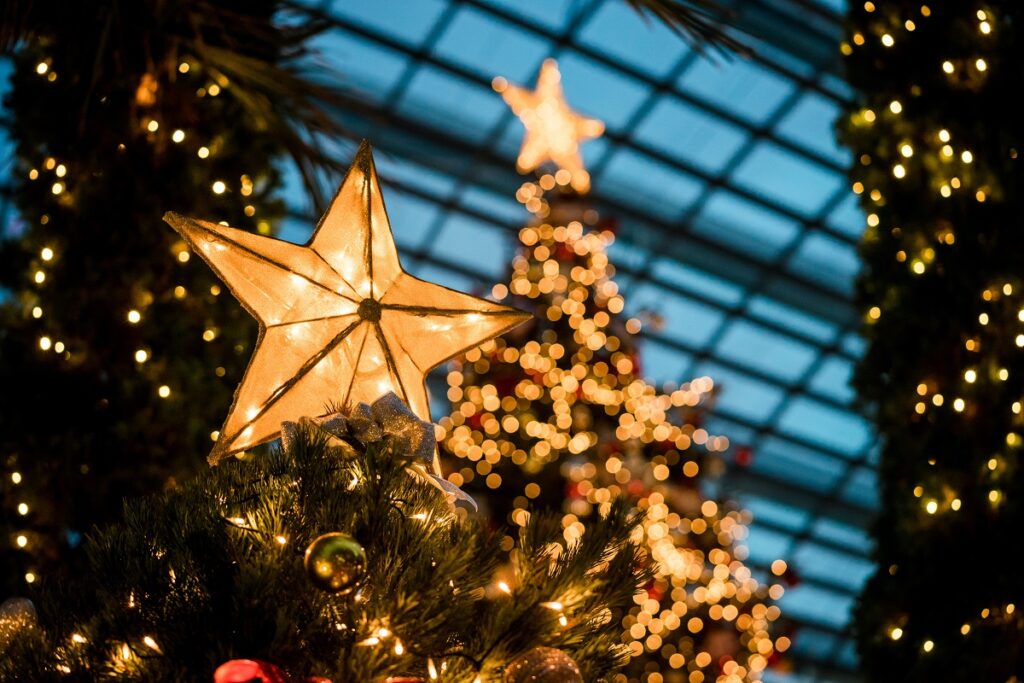 Christmas Lights On Tree 1024x683 